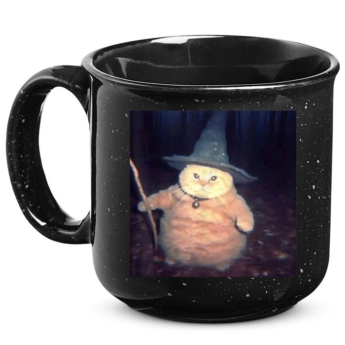Cheeseball The Wizard Cat Meme 15oz Campfire Ceramic Mug