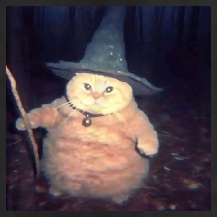 Cheeseball The Wizard Cat Meme 15oz Campfire Ceramic Mug