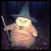 Cheeseball The Wizard Cat Meme Drawstring Bag