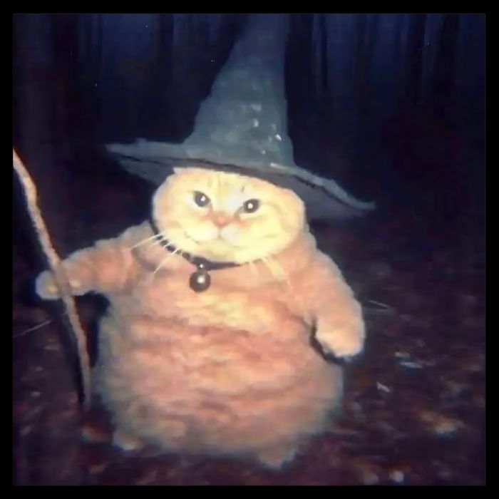 Cheeseball The Wizard Cat Meme Drawstring Bag