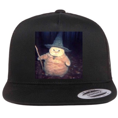 Cheeseball The Wizard Cat Meme Flatbill Hat