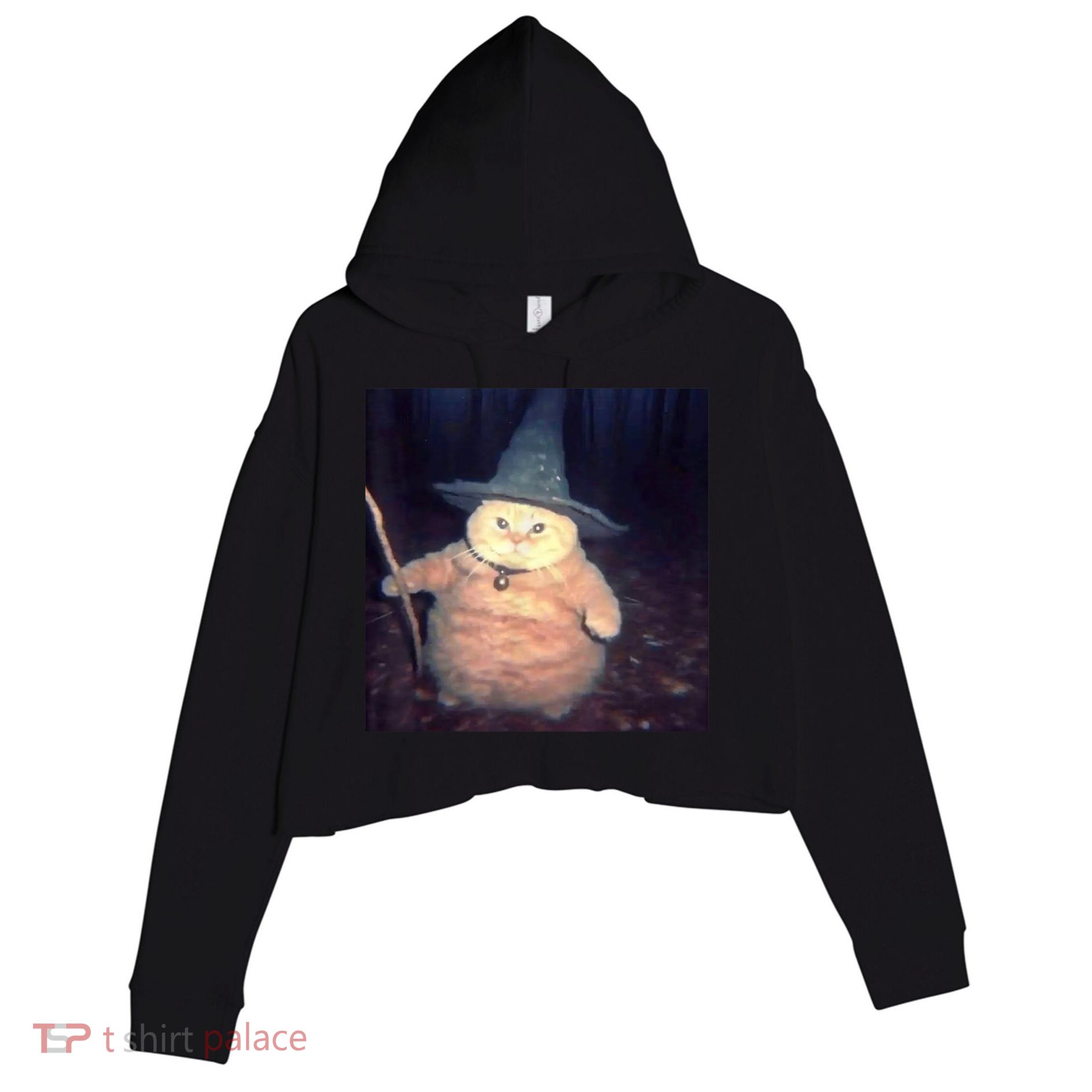 Cheeseball The Wizard Cat Meme Crop Fleece Hoodie