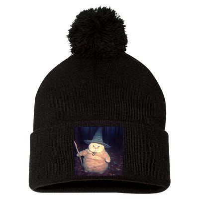 Cheeseball The Wizard Cat Meme Pom Pom 12in Knit Beanie