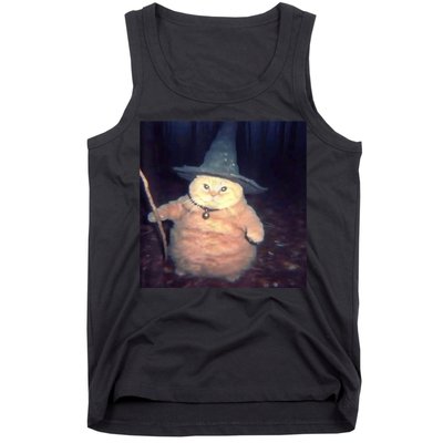 Cheeseball The Wizard Cat Meme Tank Top