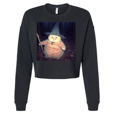 Cheeseball The Wizard Cat Meme Cropped Pullover Crew