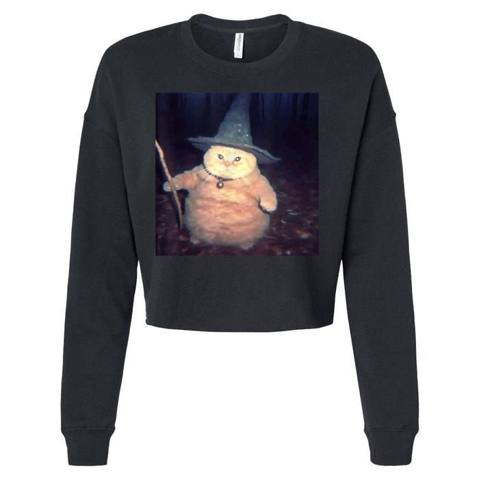 Cheeseball The Wizard Cat Meme Cropped Pullover Crew