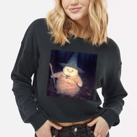 Cheeseball The Wizard Cat Meme Cropped Pullover Crew
