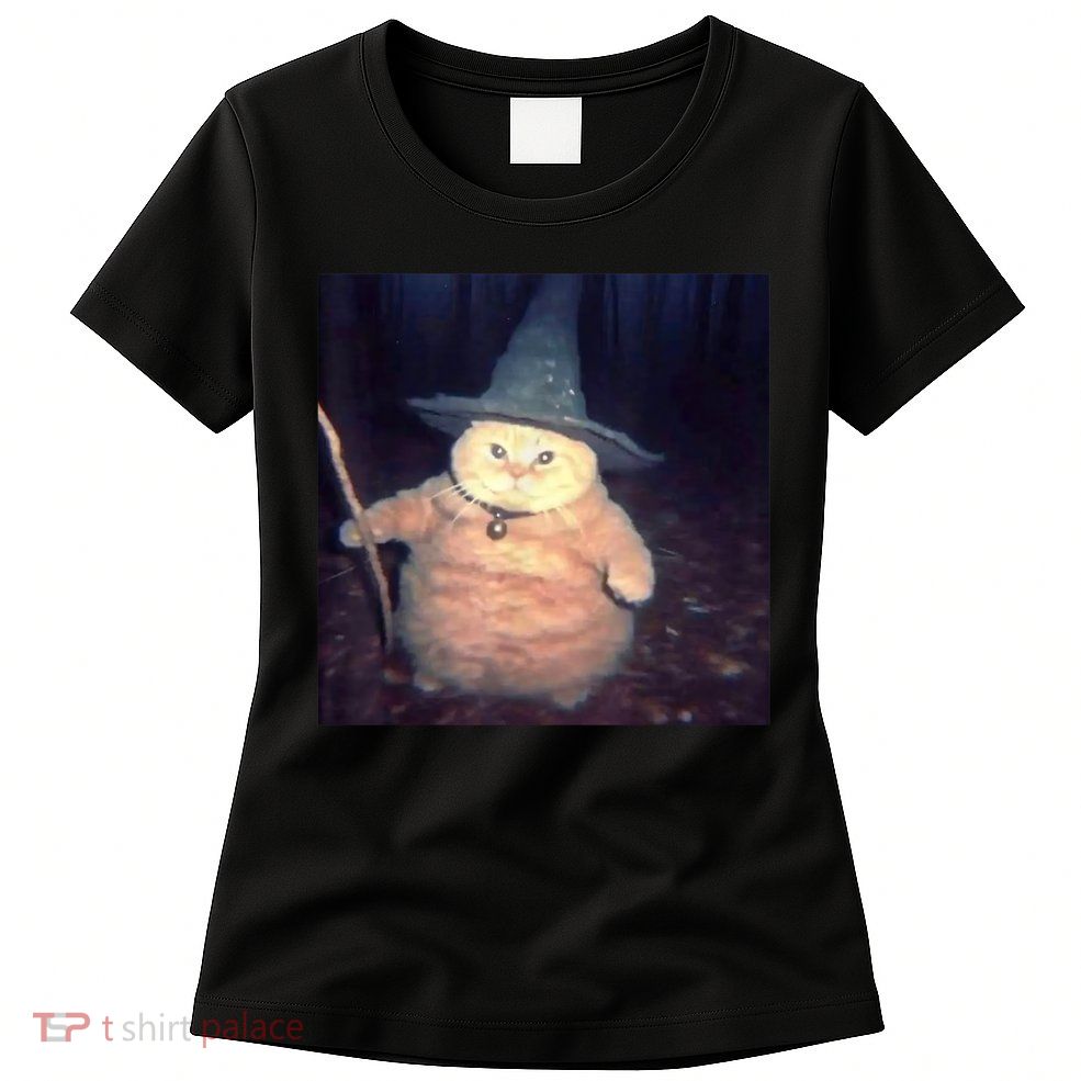 Cheeseball The Wizard Cat Meme Womens T-Shirt