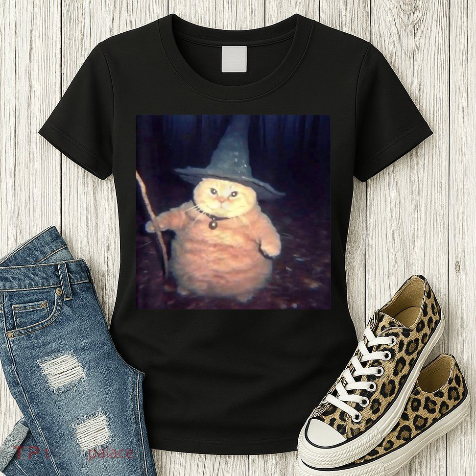 Cheeseball The Wizard Cat Meme Womens T-Shirt