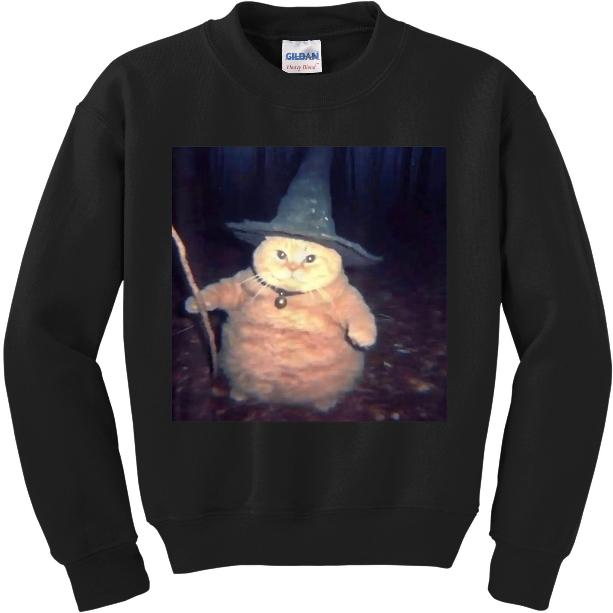Cheeseball The Wizard Cat Meme Kids Sweatshirt