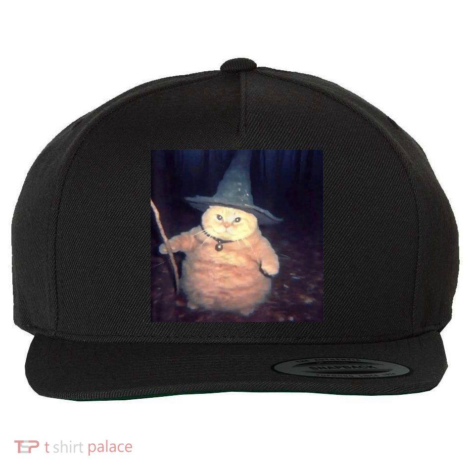 Cheeseball The Wizard Cat Meme Wool Snapback Cap