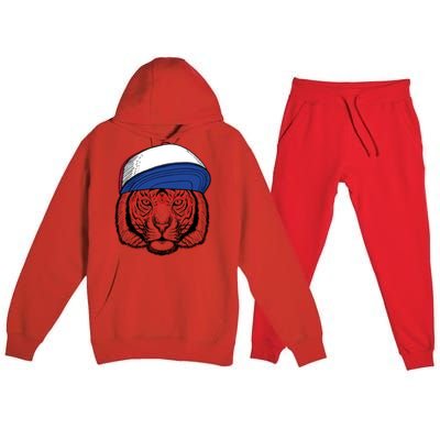 Cute Tiger With Glasses Meaningful Gift Premium Hooded Sweatsuit Set