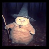 Cheeseball The Wizard Cat Vintage 90s Orange Witch Cat Design Button