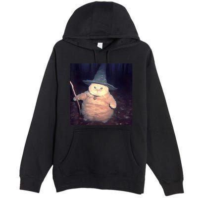 Cheeseball The Wizard Cat Vintage 90s Orange Witch Cat Design Premium Pullover Hoodie