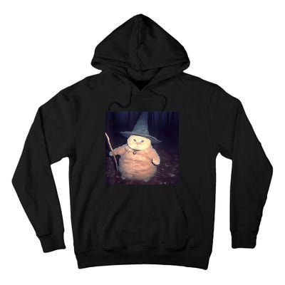 Cheeseball The Wizard Cat Vintage 90s Orange Witch Cat Design Tall Hoodie