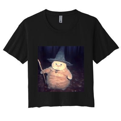Cheeseball The Wizard Cat Vintage 90s Orange Witch Cat Design Crop Top