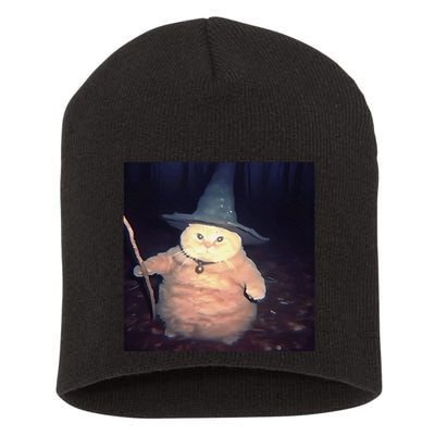 Cheeseball The Wizard Cat Vintage 90s Orange Cat Witch Cat Gift Short Acrylic Beanie