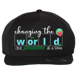 Changing The World One Phoneme At A Time Cute Wool Snapback Cap