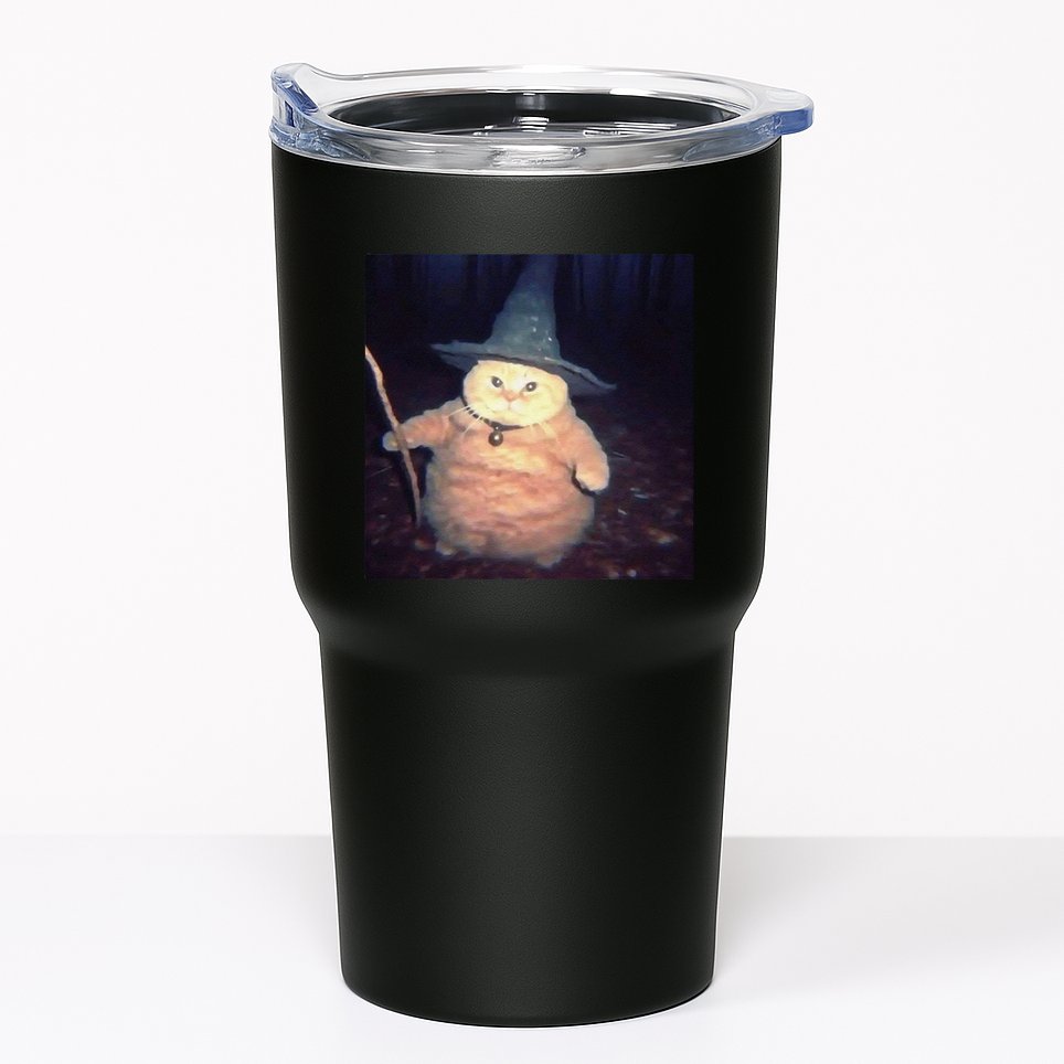 Cheeseball The Wizard Cat Vintage 90s Orange Cat Witch Cat Tumbler