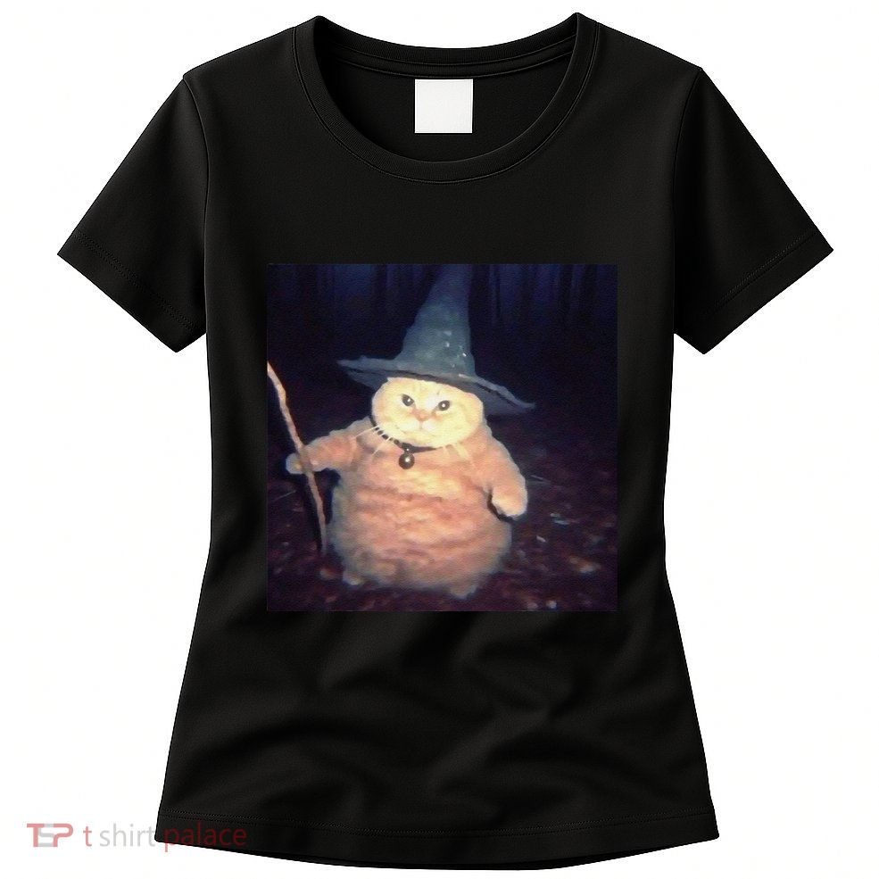 Cheeseball The Wizard Cat Vintage 90s Orange Cat Witch Cat Womens T-Shirt