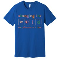 Changing The World One Phoneme At A Time Phonics Teacher Meaningful Gift Premium T-Shirt