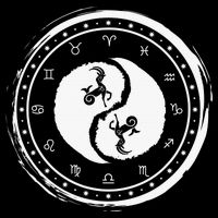 Capricorn Tenth Zodiac Sign Yin Yang Funny T-Shirt