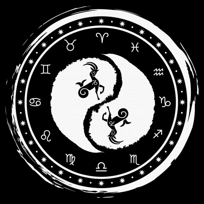 Capricorn Tenth Zodiac Sign Yin Yang Funny T-Shirt