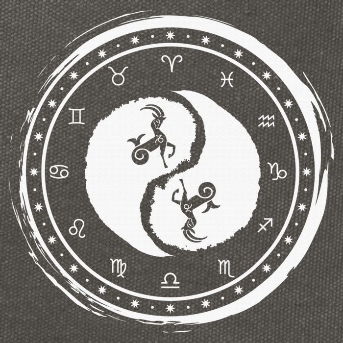 Capricorn Tenth Zodiac Sign Yin Yang Funny Cotton Canvas Backpack