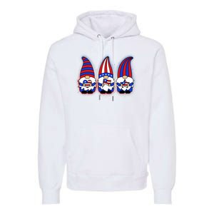 Cute USA American Flag Gnomes Premium Hoodie