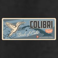 Cuba Travel Retro Banner Bird Watching Colibri Cool Comfort Performance Bucket Hat