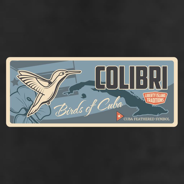 Cuba Travel Retro Banner Bird Watching Colibri Cool Comfort Performance Bucket Hat