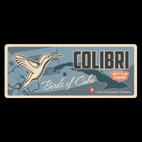 Cuba Travel Retro Banner Bird Watching Colibri Apron