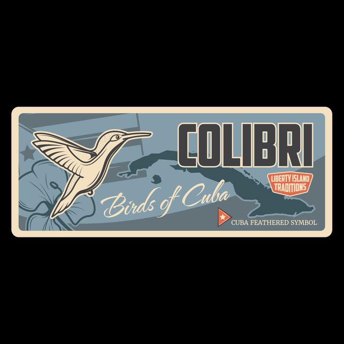 Cuba Travel Retro Banner Bird Watching Colibri Drawstring Bag