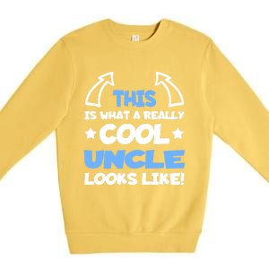 Cool Uncle Future Uncle Unclegifttogiftbe Fun Outfit For Uncles Great Gift Premium Crewneck Sweatshirt