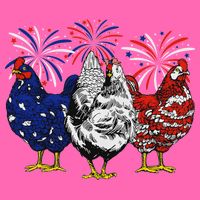 Chicken Usa Flag Patriotic Chicken Lover 4th Of July Stripe Pom Pom Beanie