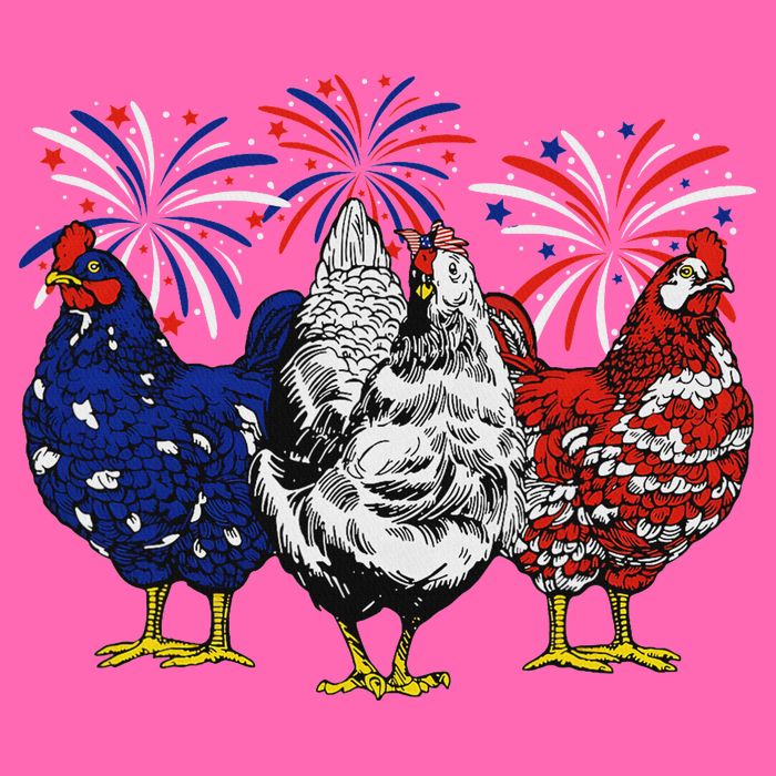 Chicken Usa Flag Patriotic Chicken Lover 4th Of July Stripe Pom Pom Beanie