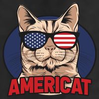 Cat US Flag Sunglasses Americat Cool 4th Of July Cat 11oz C Handle Ceramic Mug