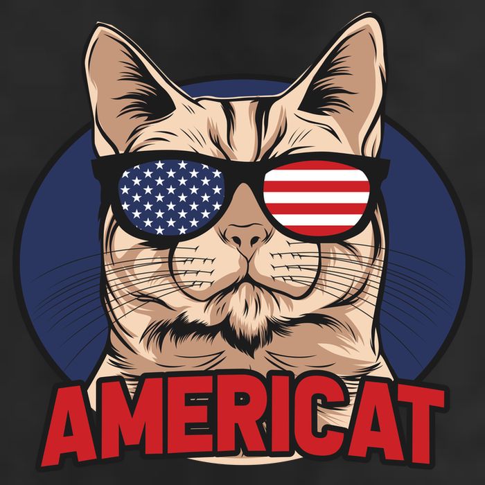 Cat US Flag Sunglasses Americat Cool 4th Of July Cat 11oz C Handle Ceramic Mug
