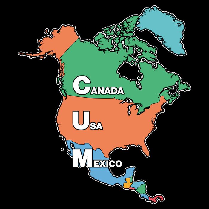 Canada Usa Mexico Cum Map Ladies Essential Flowy Tank