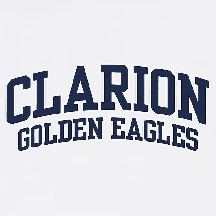 Clarion University Pennsylvania Golden Eagles Kids T-Shirt