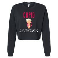 Cupid Is Stupid Cropped Pullover Crew