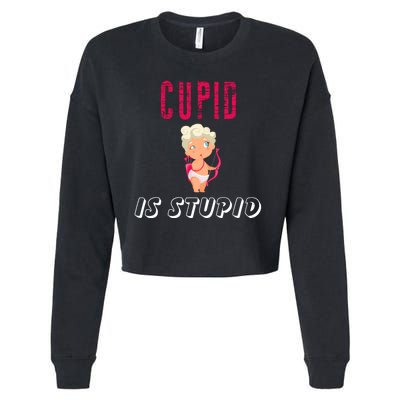 Cupid Is Stupid Cropped Pullover Crew