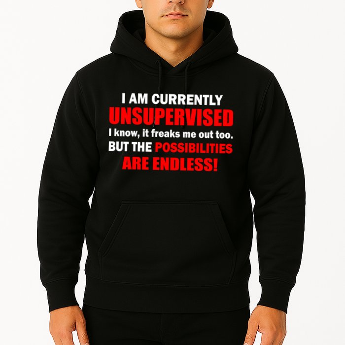 Currently Unsupervised Possibilities Are Endless Hoodie
