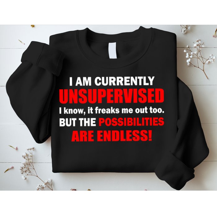 Currently Unsupervised Possibilities Are Endless Sweatshirt