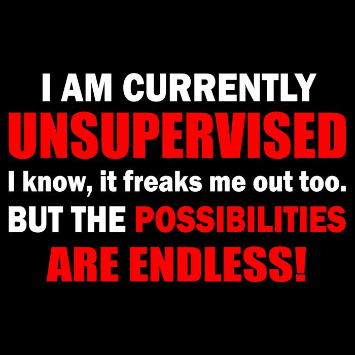 Currently Unsupervised Possibilities Are Endless Sweatshirt
