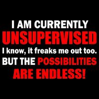 Currently Unsupervised Possibilities Are Endless Button