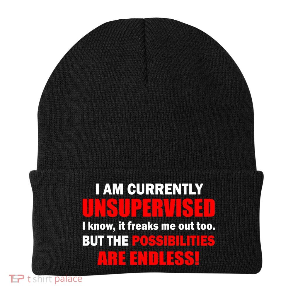 Currently Unsupervised Possibilities Are Endless Beanie