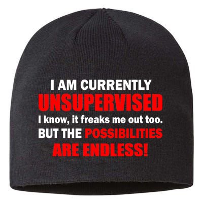 Currently Unsupervised Possibilities Are Endless Sustainable Beanie