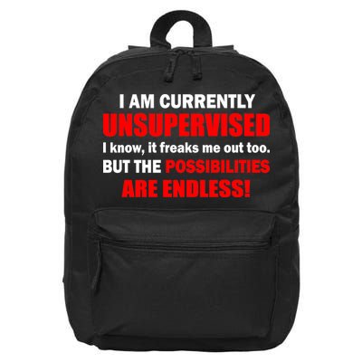 Currently Unsupervised Possibilities Are Endless 16 in Basic Backpack