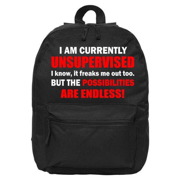 Currently Unsupervised Possibilities Are Endless 16 in Basic Backpack